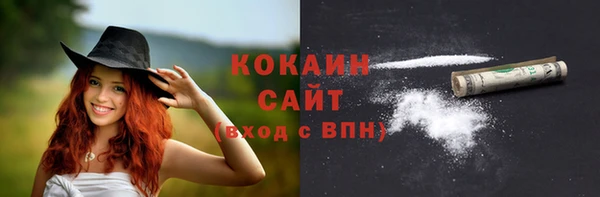 ешки Арсеньев