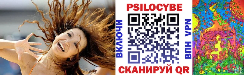 Галлюциногенные грибы Psilocybe  hydra   Среднеколымск  даркнет сайт 